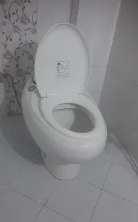توالت فرنگی