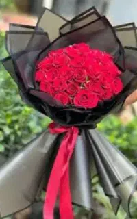 گل ناز