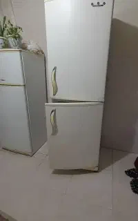 یخچال دودر روشن