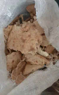 نان دامی