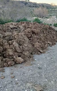 کود گوسفندی