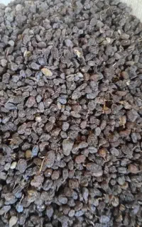 قیمت‌۳۰۰‌هزار‌تومان