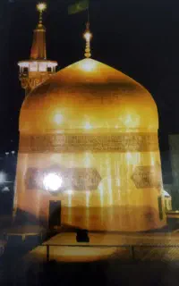 شماره تماس