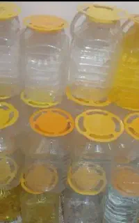 پت درفلکه ای