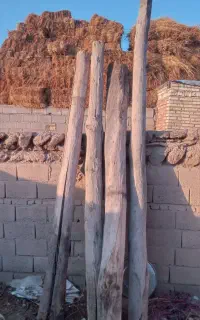 چوب
