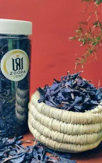 گل گاوزبان بهارکش 1405