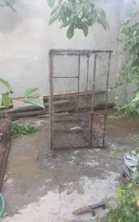 قفس کبوتر
