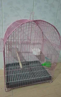 قفس پرنده چغادک