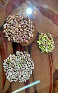 فروش پسته و مغز پسته باکیفیت