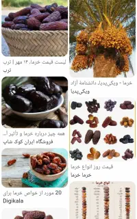 کارگر ساده کار در انبار خرما