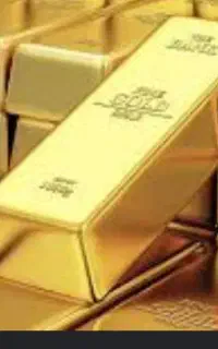 سرمایه گذار در حوزه فلزات