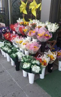 فروشنده در گل‌فروشی