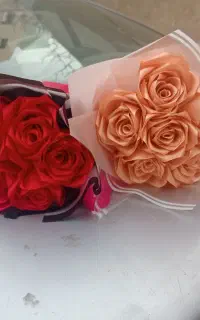 رز روبانی