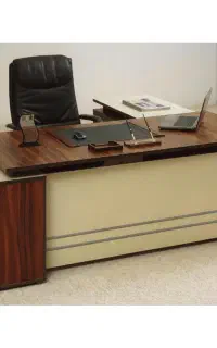 منشی جوان خانم برای مشاور املاک