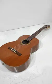 گیتار Antonio Sanchez 3050