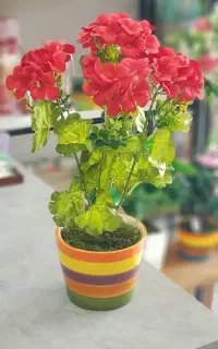 هدیه ماندگار و زیبا