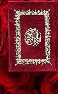 سرکتاب