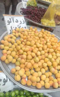 میوه فروشی