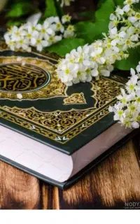 کتاب مرجان قرانی