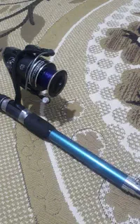 لنسر ماهگیری