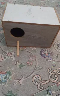 لونه عروس هلندی