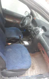 ۲۰۶ مدل ۸۱