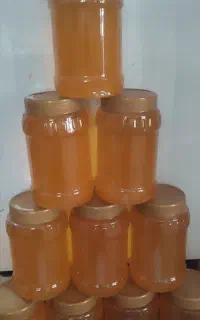 عسل طبیعی کوهستان
