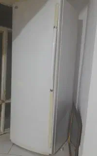 فریزر تک ایستاده