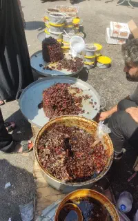 خرما درجه یک تا آخر هفته درخدمتتون هستیم