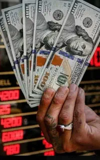 ادمین خانم ( حرفه ای )