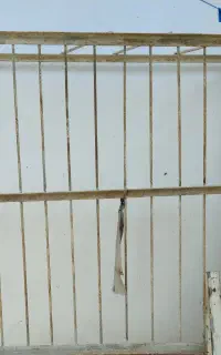 چارپایه