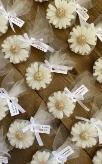 گیفت ارزان قیمت