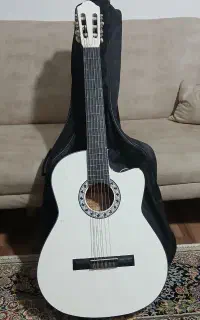 گیتار نو