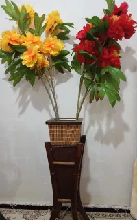 کلکسیون