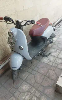 پاکشتی کویر ۱۴۰۴