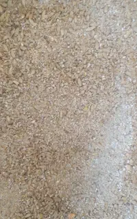 بلغور جو و ذرت