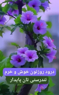 نیاز به یک خانواده برای باغبان یا سرایداری