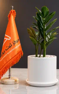 ثبت و تغییرات شرکت - ثبت برند - کارت بازرگانی