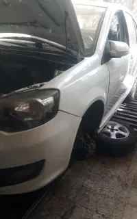 راین v5