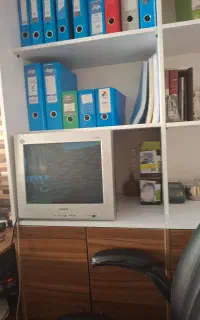 استخدام