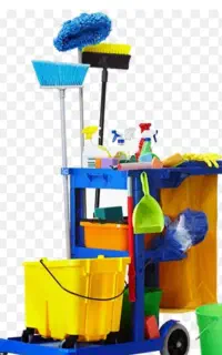 شرکت نظافتی آقای پاکیزه