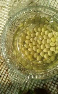 خاویار حلزون