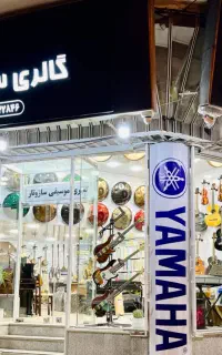 سازهای خارجی و ایرانی