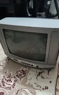 تلوزیون
