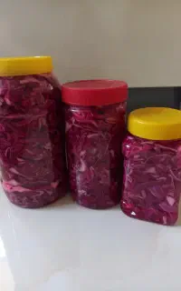 انواع ترشی خانگی