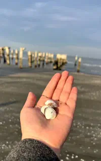 عکاسی