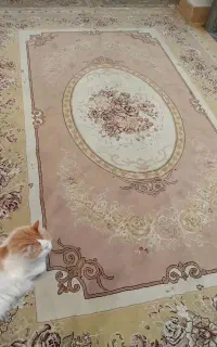 فرش ماشینی ۶ متری