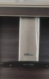 درسا هود