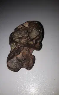 سنگ کلکسیونی عجیب