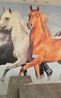اموزش سوارکاری  پانسیون اسب نعل بندی